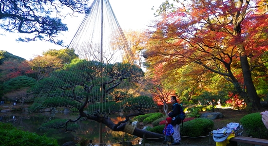 Salah satu sisi musim gugur Kyu-Furukawa Gardens